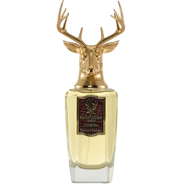 Pana Dora Orchestra Eau De Parfum For Unisex - Oriental Woody Perfume 100ml - Image 1