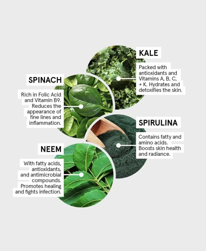 ⁦Acure Ultra Hydrating Green Juice Cleanser⁩ - الصورة ⁦3⁩