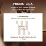 ⁦SKIN1004 Madagascar Centella Probio-Cica Intensive Ampoule 50ml⁩ - الصورة ⁦3⁩