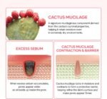 ⁦Dr.Melaxin Cactox Pore Dual Capsule Cream – Pore Minimizing Hydrating Face Cream with Cactus Extract, PDRN & Vegan Collagen for Firmness & Skin Repair⁩ - الصورة ⁦5⁩
